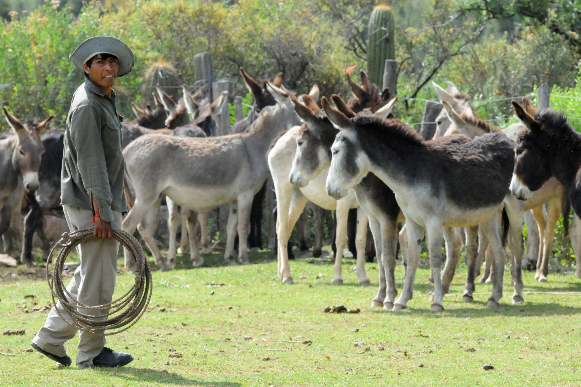 Povos originários - Argentina